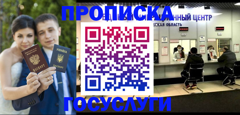 прописка штамп в Новосибирской области